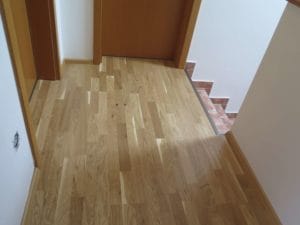 SCHEUCHER Dub Country