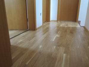 SCHEUCHER Dub Country